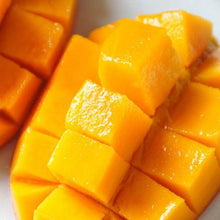 Load image into Gallery viewer, Mango Iced Green Tea Bags