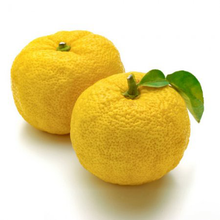 Load image into Gallery viewer, Yuzu Kukicha with Matcha