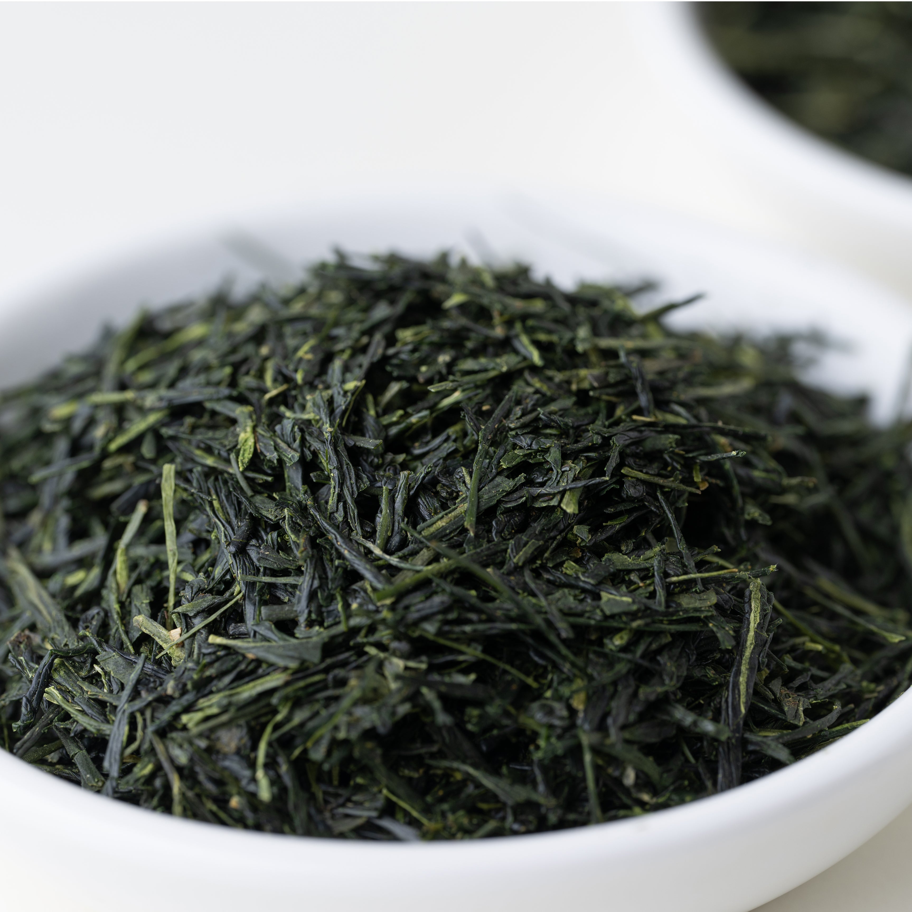 2023 Harvest Teas Now Available – Den's Tea Wholesale
